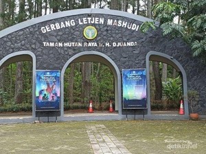 Berbagai Destinasi Menarik di Taman Hutan Raya Bandung