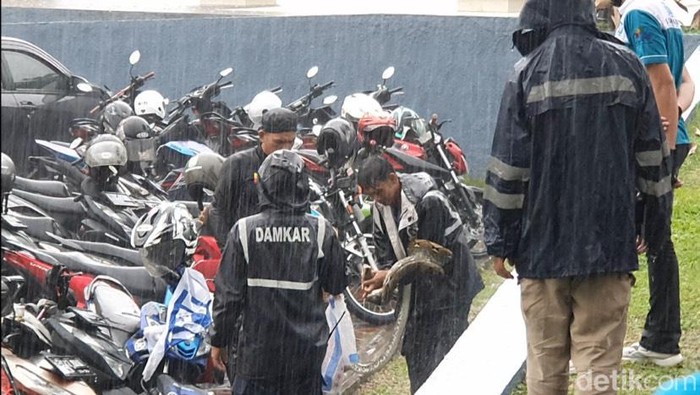 Ular piton tiga meter muncul saat demo buruh di Sukabumi.