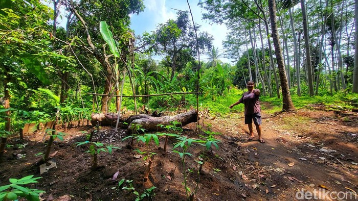 Warga saat menunjukan lokasi persembunyian WN Bangladesh saat dikejar polisi di Sukabumi