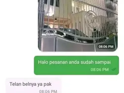 10 Permintaan Absurd Pelanggan ke Driver Ojol, Ampun Deh!