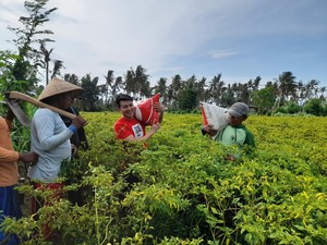 Rumah Aspirasi Chandra Astan Harapan Warga Kampung Jatian Banyuwangi