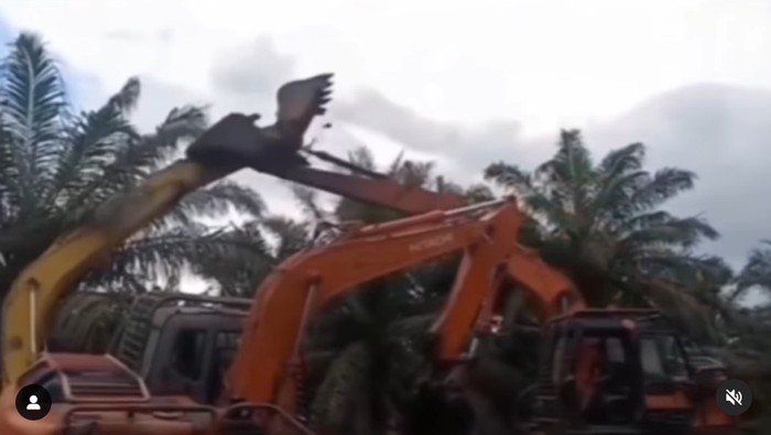 Duel ekskavator yang viral di Siak, Riau. (tangkapan layar/istimewa)