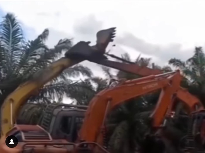 Duel ekskavator yang viral di Siak, Riau. (tangkapan layar/istimewa)