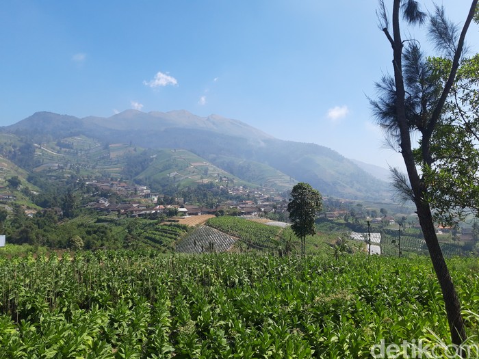 Gunung Merbabu dari Selo, Boyolali.