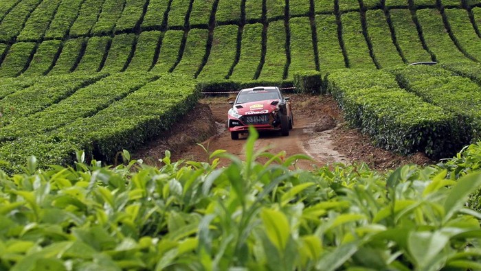Sean Gelael gagal menuntaskan hari kedua Danau Toba Rally 2023-APRC Grand Finale, Sabtu (25/11/2023). Tapi, itu tak mengurangi keyakinannya merebut gelar juara.