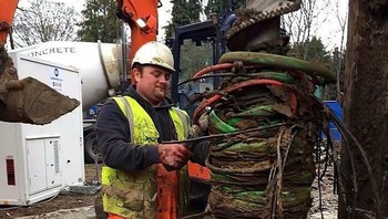 Inilah penyebab kamu tidak bisa terkoneksi internet. Foto: Boredpanda