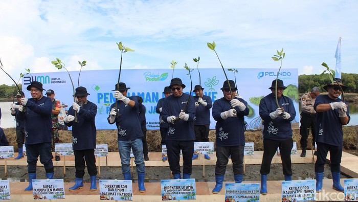 PT Pelindo menanam pohon mangrove di pesisir Maros, Sulsel. PT Pelindo menanam pohon mangrove di pesisir Maros, Sulsel.