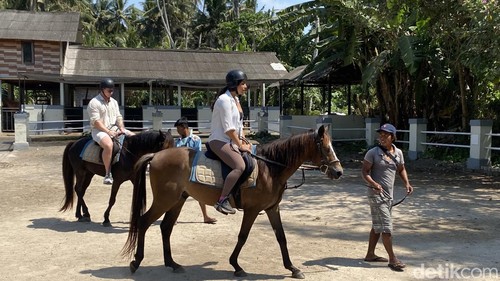 Suasana berkuda di Bali Horse Riding, Pantai Saba, Gianyar, Bali, beberapa waktu lalu. (Indah Dwi Hastuti-detikBali)