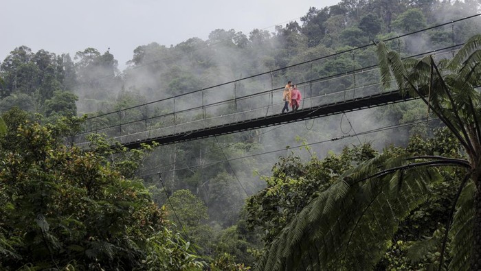 Pengunjung melintas di jembatan gantung Lembah Purba di kawasan wisata Situgunung, Kadudampit, Kabupaten Sukabumi, Jawa Barat, Minggu (26/11/2023). Kementerian Pariwisata dan Ekonomi Kreatif menargetkan kunjungan wisatawan mancanegara naik menjadi 12-14 juta pada 2024 dibandingkan target 2023 sebanyak 8,5 juta kunjungan dan target pergerakan wisatawan nusantara kisaran 1,2 miliar - 1,4 miliar pada 2024. ANTARA FOTO/Henry Purba/agr/nym.