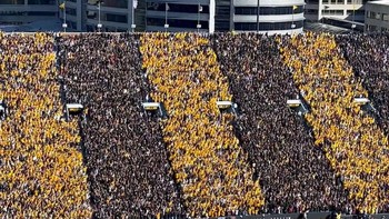 Cake Rows karya Wayne Thiebaud, 1962. Foto: Boredpanda