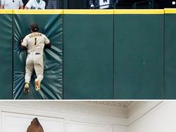 Kocak! Ketika Aksi Olahraga Mirip Dengan Karya Lukisan Klasik