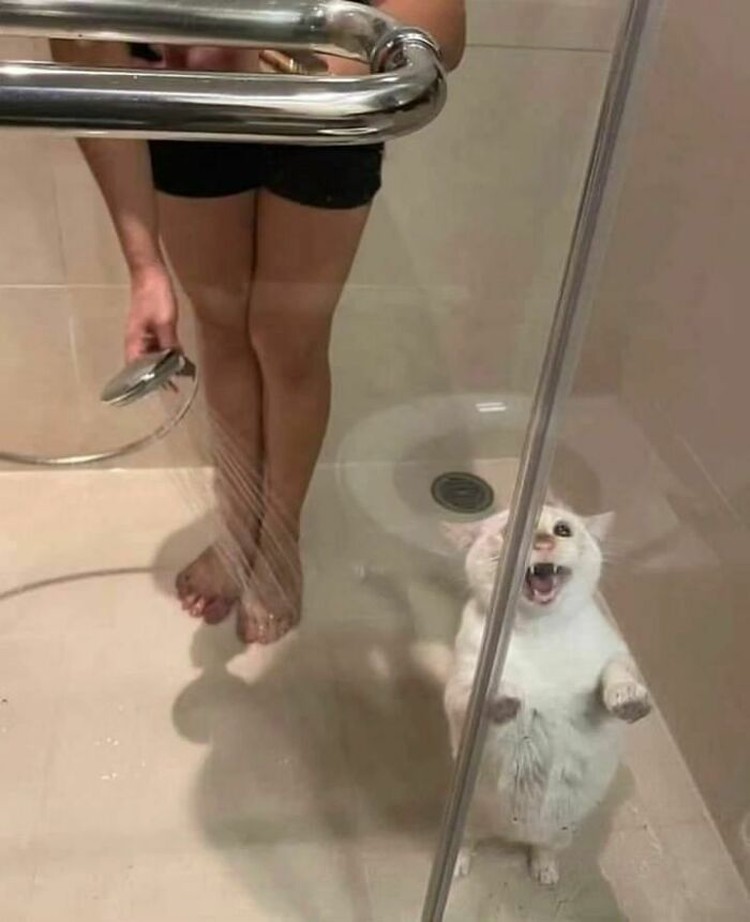 Kumpulan Foto Humoris yang Menghibur Weekend Kamu