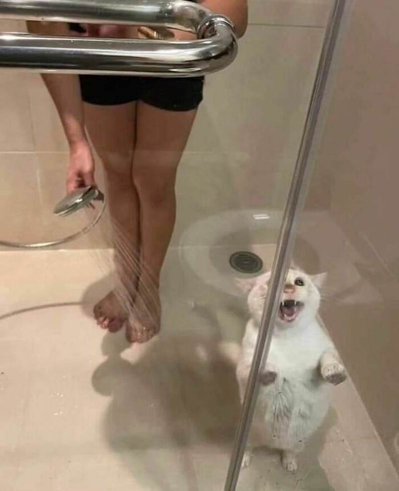 Kumpulan Foto Humoris yang Menghibur Weekend Kamu