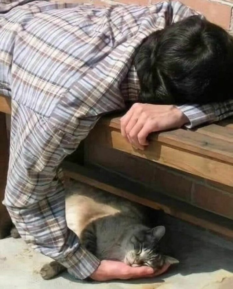Kumpulan Foto Humoris yang Menghibur Weekend Kamu Kumpulan Foto Humoris yang Menghibur Weekend Kamu