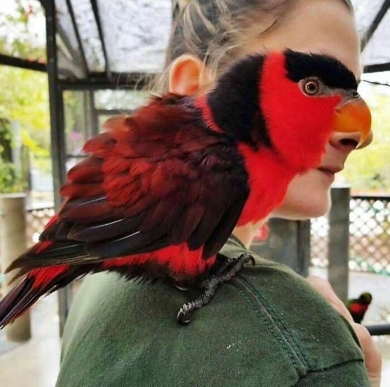 Kumpulan Foto Humoris yang Menghibur Weekend Kamu