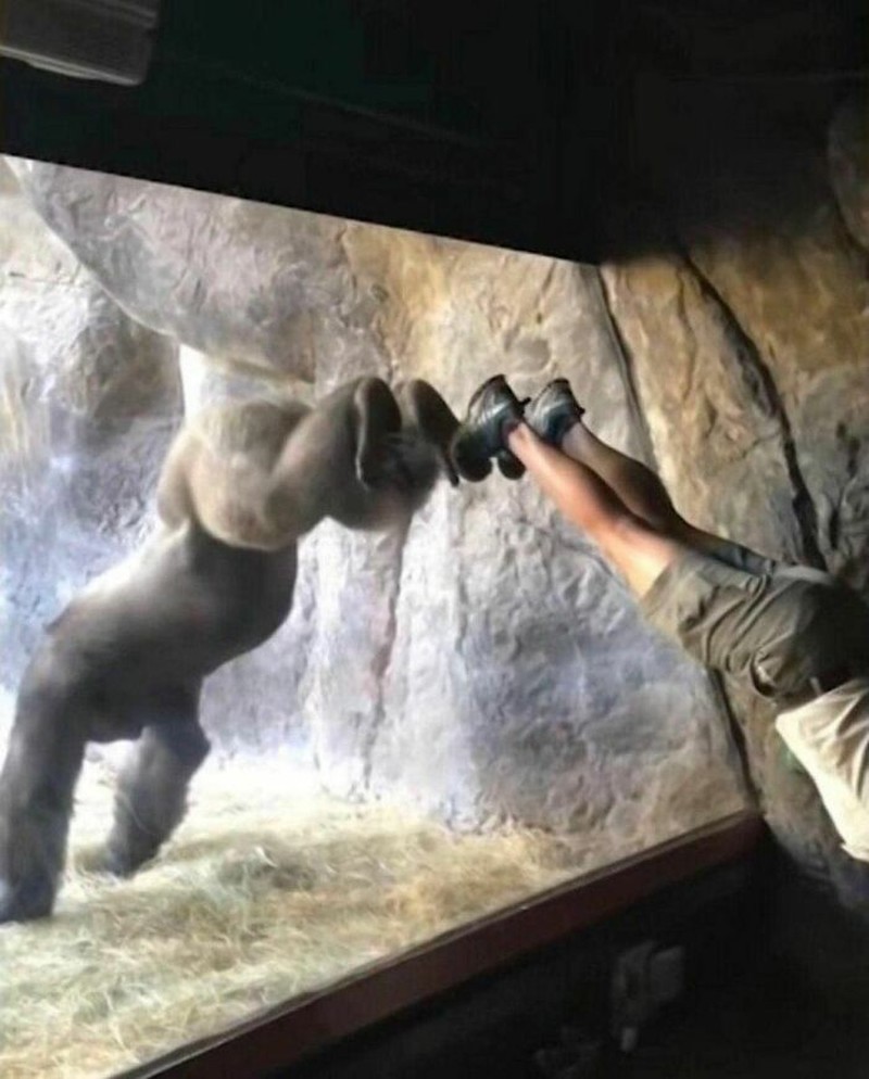 Kumpulan Foto Humoris yang Menghibur Weekend Kamu