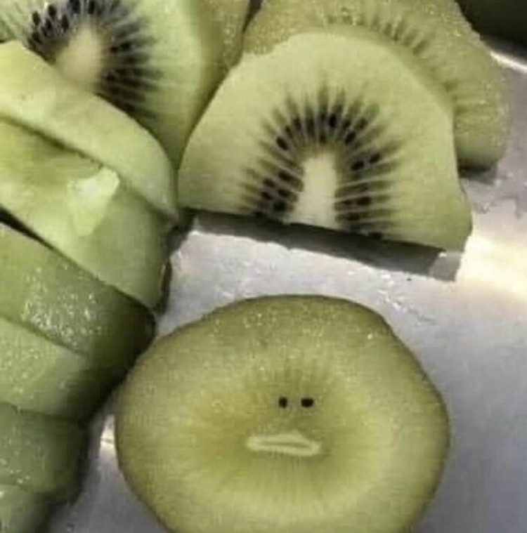 Kumpulan Foto Humoris yang Menghibur Weekend Kamu Kumpulan Foto Humoris yang Menghibur Weekend Kamu