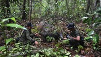 Dari upaya pengembangbiakan semi alami yang dilakukan, saat ini SRS TNWK telah sukses menghasilkan lima individu badak sumatera yang lahir, yaitu Andatu (2012), Delilah (2016), Sedah Mirah (2022), anak ketiga dari Ratu-Andalas (30 September 2023) dan anak dari Delilah-Harapan (25 November 2023).