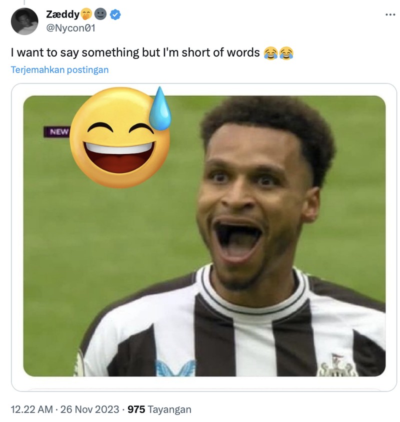 Meme Chelsea dikalahkan Newcastle United dalam laga lanjutan Liga Inggris.