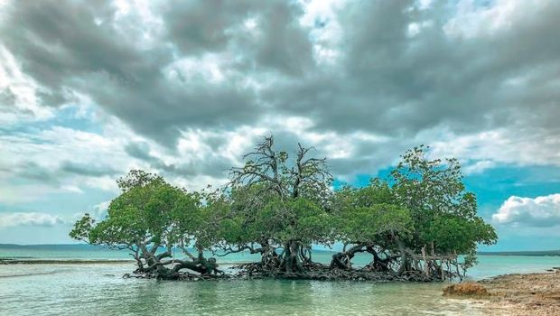 Pantai Tablolong, Kupang, NTT. (Tangkapan layar Google Earth/Rehany Mooy)