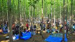 Sejuknya Transaksi di Pasar Hutan Jati Kudus