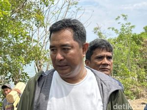 Pj Gubernur Sulsel Wanti-wanti Harga Tiket Pesawat Naik Jelang Nataru