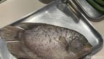 Serunya Masak Ikan Gurame Pesmol yang Nikmat Bernutrisi