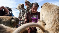 Dalam festival itu, para sukarelawan menyiapkan makanan untuk monyet di kawasan Tiga Pagoda Kuno atau Ancient Three Pagodas. Monyet pun berpesta dengan beragam sajian makanan tersebut.