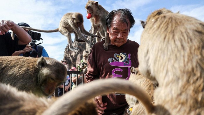 Monkeys climb onto tourists during the annual Monkey Festival in Lopburi province, Thailand, November 26, 2023. REUTERS/Chalinee Thirasupa     TPX IMAGES OF THE DAY
