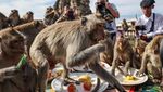 Keseruan Festival Monyet di Thailand