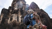 Pendiri Festival Monyet Lopburi, Yongyuth Kitwatanusont mengatakan, festival tersebut tidak sekadar memberi makan kepada kerumunan monyet. Lebih dari itu, Festival Monyet Lopburi merupakan upaya untuk menarik kedatangan wisatawan, baik dalam negeri maupun asing.