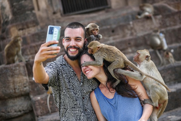 Monkeys climb onto tourists during the annual Monkey Festival in Lopburi province, Thailand, November 26, 2023. REUTERS/Chalinee Thirasupa TPX IMAGES OF THE DAY