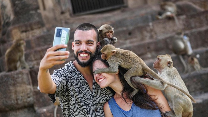 THAILAND-FESTIVAL/MONKEYS Monkeys climb onto tourists during the annual Monkey Festival in Lopburi province, Thailand, November 26, 2023. REUTERS/Chalinee Thirasupa TPX IMAGES OF THE DAY