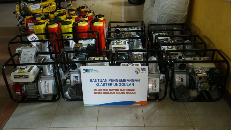 Desa BRILian Isano Mbias