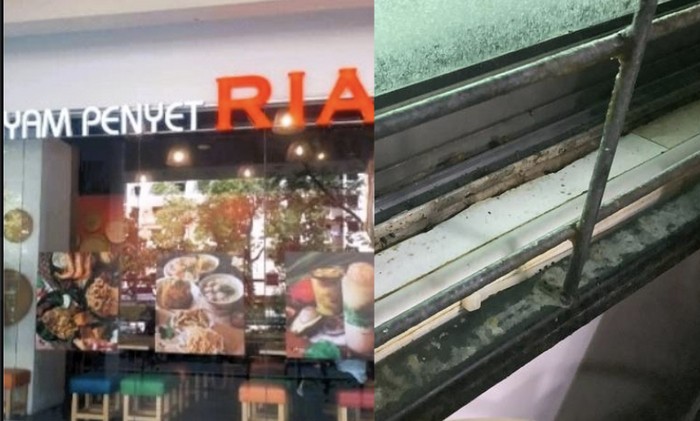 Duh! Di Warung Ayam Penyet di Singapura Ini Ada Kecoak