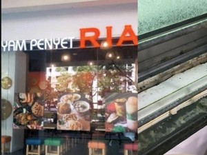 Duh! Di Warung Ayam Penyet di Singapura Ini Ada Kecoak