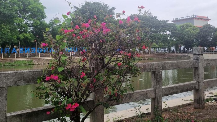 Embung Langensari, Wisata Gratis di Tengah Kota Yogyakarta Jika traveler mencari destinasi wisata gratis di Yogyakarta, datanglah ke Embung Langensari. Di sini Anda dapat bersantai di bawah pohon rindang.