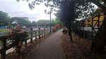 Embung Langensari, Wisata Gratis di Tengah Kota Yogyakarta