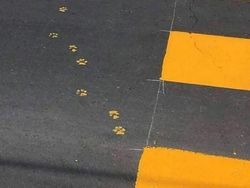 Deretan Foto Absurd yang Bikin Bingung Sendiri