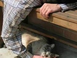 Deretan Foto Absurd yang Bikin Bingung Sendiri