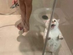 Deretan Foto Absurd yang Bikin Bingung Sendiri