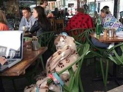 Deretan Foto Absurd yang Bikin Bingung Sendiri