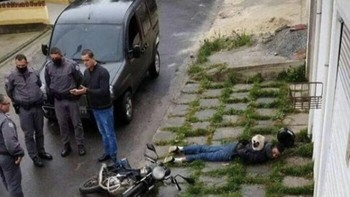 Kucing itu tampaknya tidak peduli dengan kecelakaan yang baru saja terjadi. Foto: Bored Panda