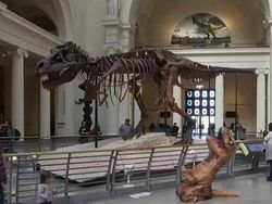 Deretan Foto Absurd yang Bikin Bingung Sendiri