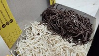 Main ke Cirebon kamu bisa coba singkong keju populer di Singkong Keju Kang Ntis. Harganya Rp 17 ribu aja tapi parutan kejunya melimpah. Ada juga tambahan topping cokelat, stawberry, sampai blueberry. Foto : Instagram @singkongkejukangntis_official