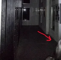 Hii! Foto Menyeramkan Terekam di Kamera, Bikin Begidik