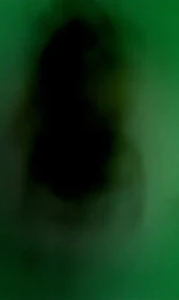 Hii! Foto Menyeramkan Terekam di Kamera, Bikin Begidik