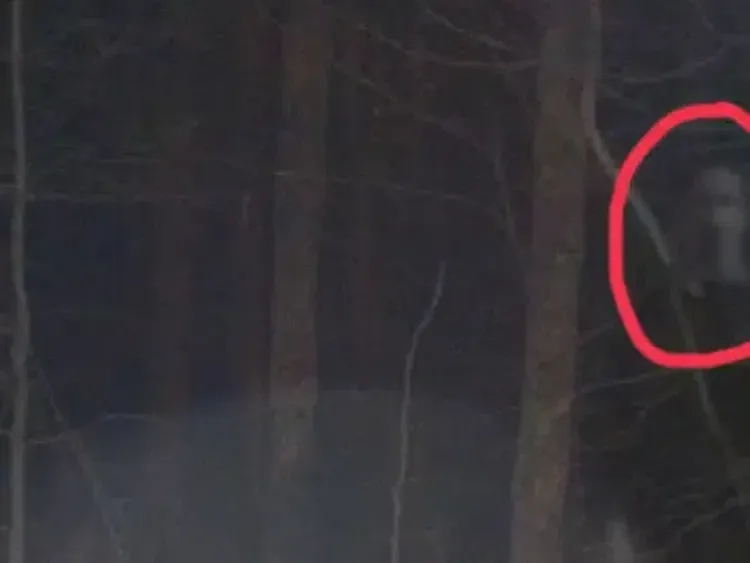 Hii! Foto Hantu Terekam Kamera Ponsel, Bikin Bergidik