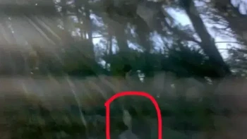 Foto ini diambil di rawa-rawa di Pulau Fripp, Carolina Selatan, dari jendela mobil. Saya ketakutan dengan gambar yang sangat jelas memperlihatkan seorang wanita berambut hitam. Setelah itu, saya menunjukkannya kepada seorang kasir ketika kami berhenti di sebuah kafe lokal. Dia mengatakan bahwa dia telah melihat banyak gambar seperti ini, karena Pulau Fripp sangat berhantu. Foto: Dok. Buzzfeed