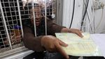 Tumpah Ruah Warga Gaza Serbu Bantuan Tepung